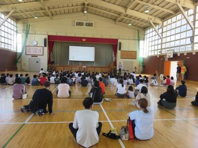 ３